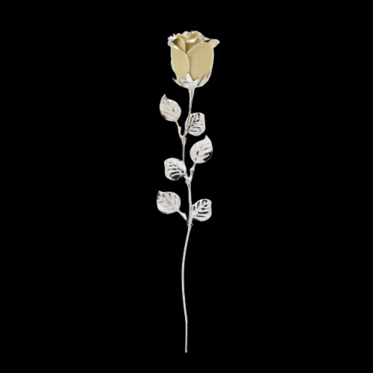 Bibelot Dhome - Rosa Beje