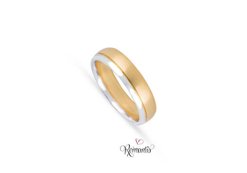 Aliança ouro bicolor  sem pedras.