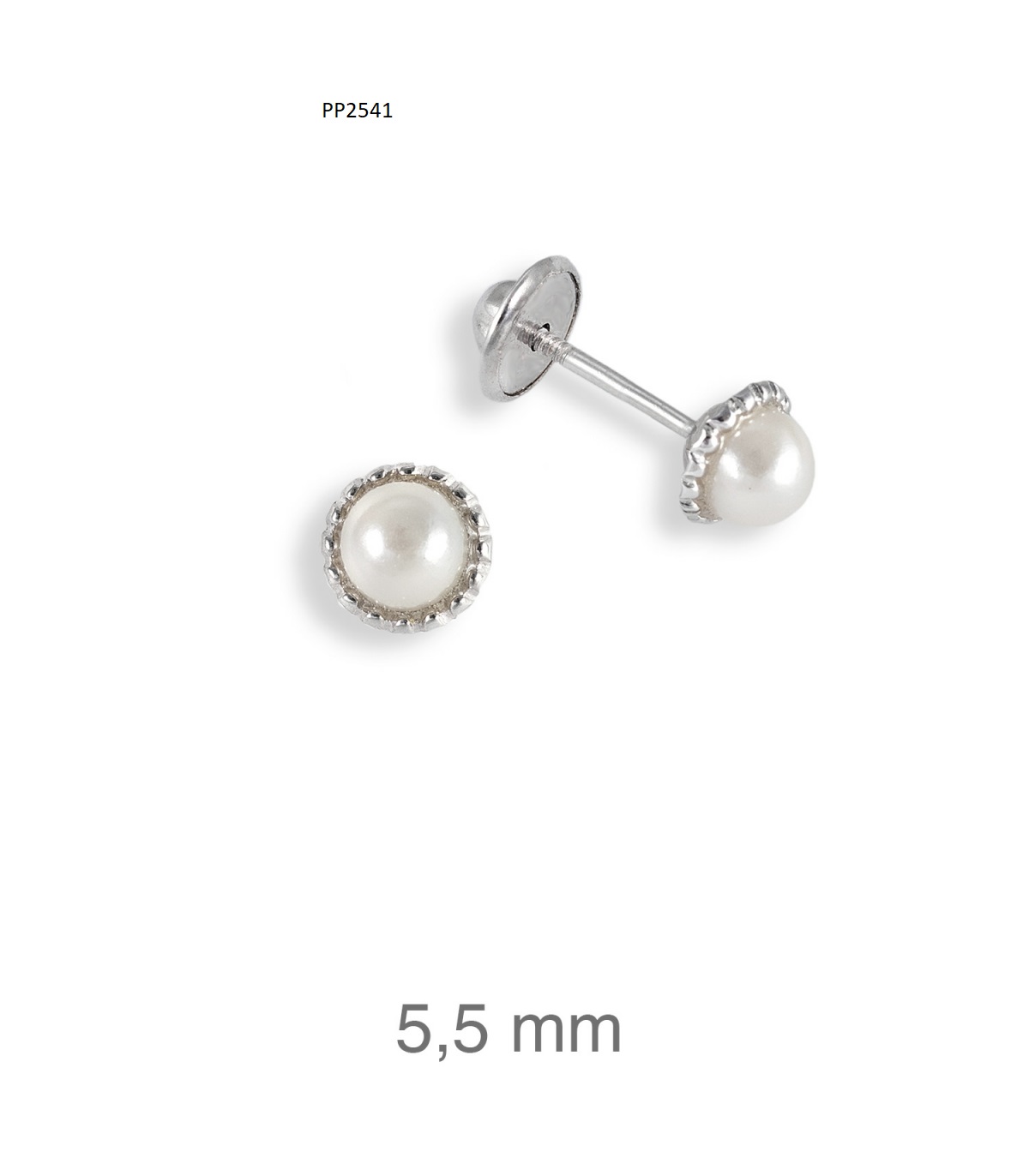 Brincos rosca Rodio P2541