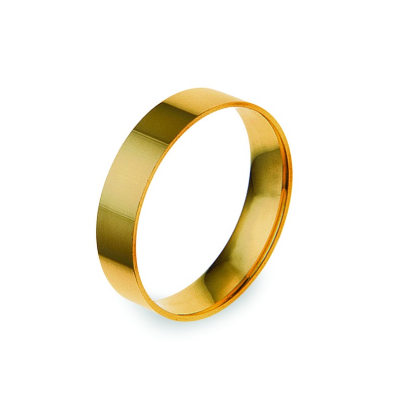 Aliança Essential Eternis